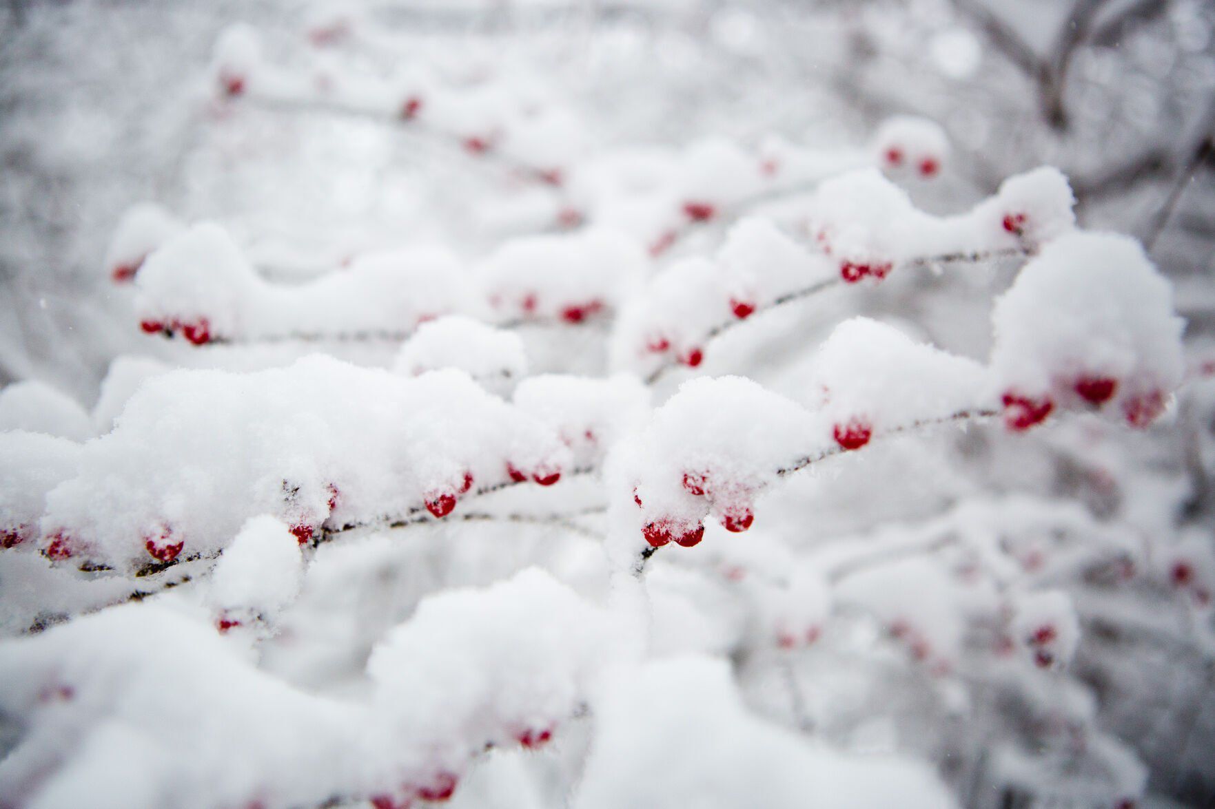 Roanoke Winter Weather